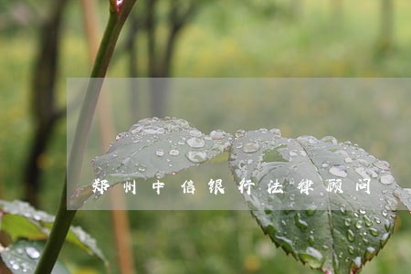 郑州中信银行法律顾问 郑州中信银行法律顾问