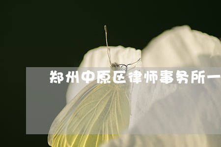 郑州中原区律师事务所一般多少钱 郑州中原区律师事务所一般多少钱