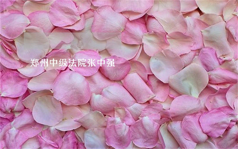 郑州中级法院张中强