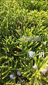 郑州举报违法占她 郑州举报违法占她