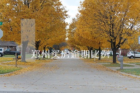 郑州买房逾期比例 郑州买房逾期比例
