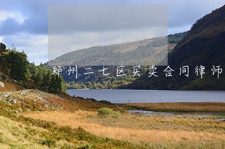 郑州二七区买卖合同律师咨询