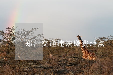 郑州交通违法缴费地点 郑州交通违法缴费地点