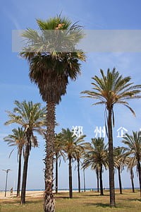 郑州企业个人所得税逾期 郑州企业个人所得税逾期