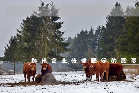 郑州企业法律顾问的职责 郑州企业法律顾问的职责