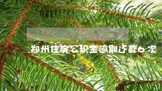 郑州住房公积金逾期还款6次 郑州住房公积金逾期还款6次