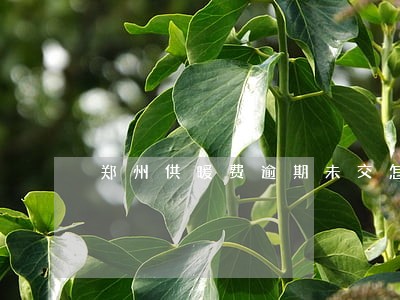 郑州供暖费逾期未交怎么计算 郑州供暖费逾期未交怎么计算
