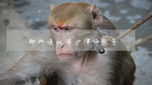 郑州侵权保护律师服务 郑州侵权保护律师服务