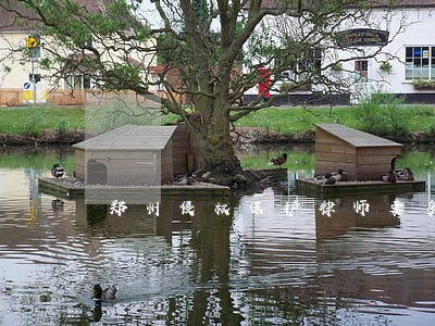 郑州侵权保护律师要多少费用