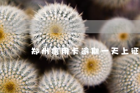 郑州信用卡逾期一天上征信吗