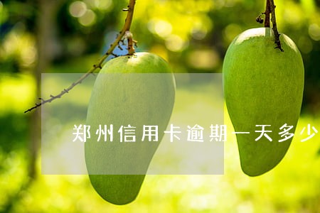 郑州信用卡逾期一天多少钱 郑州信用卡逾期一天多少钱