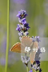 郑州信用卡逾期一年 郑州信用卡逾期一年