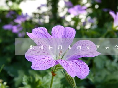 郑州信用卡逾期两天会影响征信吗 郑州信用卡逾期两天会影响征信吗