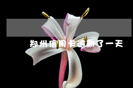 郑州信用卡逾期了一天 郑州信用卡逾期了一天