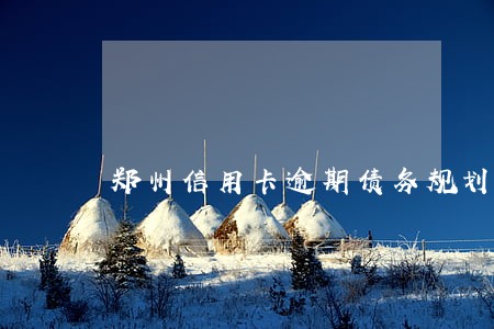 郑州信用卡逾期债务规划流程详解