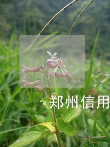 郑州信用卡逾期协商公司