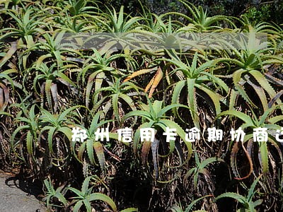 郑州信用卡逾期协商还款 郑州信用卡逾期协商还款