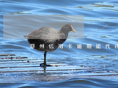 郑州信用卡逾期能代还吗