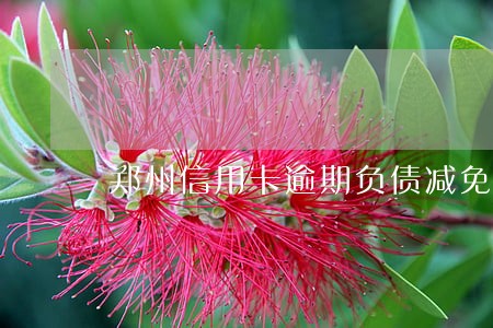 郑州信用卡逾期负债减免 郑州信用卡逾期负债减免