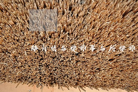 郑州债务律师事务所律师 郑州债务律师事务所律师