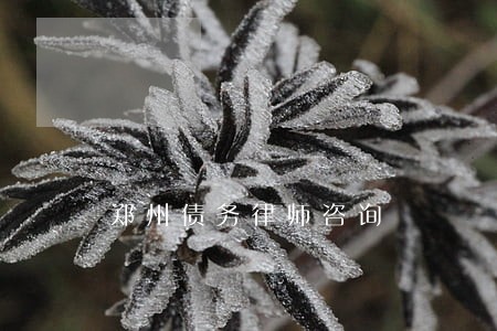 郑州债务律师咨询 郑州债务律师咨询