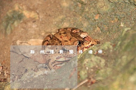 郑州债务案件律师 郑州债务案件律师