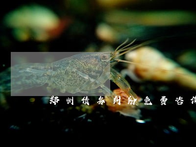 郑州债务纠纷免费咨询律师 郑州债务纠纷免费咨询律师
