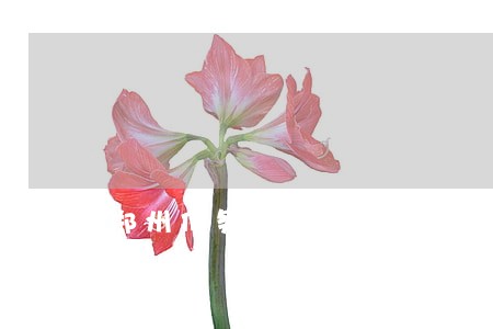 郑州债务纠纷律师事务所电话