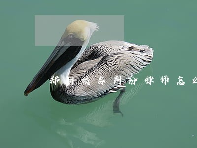 郑州债务纠纷律师怎么收费 郑州债务纠纷律师怎么收费