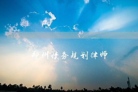郑州债务规划律师 郑州债务规划律师