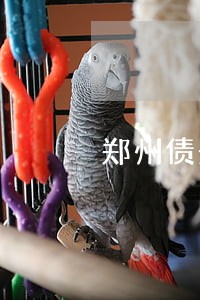 郑州债务诉讼律师推荐 郑州债务诉讼律师推荐