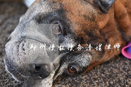 郑州债权债务清理律师 郑州债权债务清理律师