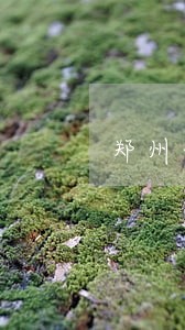 郑州债权法律咨询案例 郑州债权法律咨询案例
