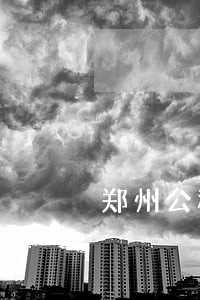 郑州公积金贷款逾期宽限期 郑州公积金贷款逾期宽限期