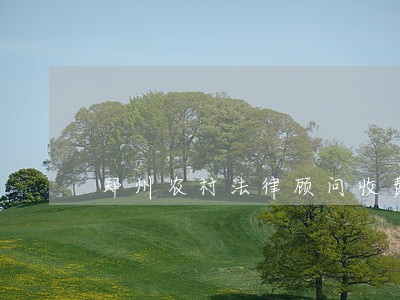郑州农村法律顾问收费 郑州农村法律顾问收费