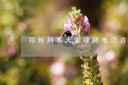 郑州刑事大案律师电话咨询 郑州刑事大案律师电话咨询