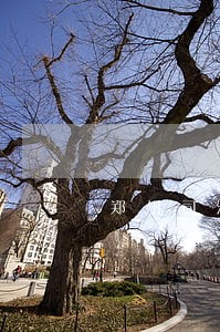郑州司法动态 郑州司法动态