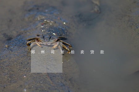 郑州司法拍卖贷款 郑州司法拍卖贷款
