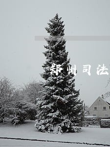 郑州司法援助 郑州司法援助