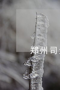 郑州司法警官提前批 郑州司法警官提前批