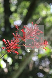 郑州周边婚姻律师网站 郑州周边婚姻律师网站