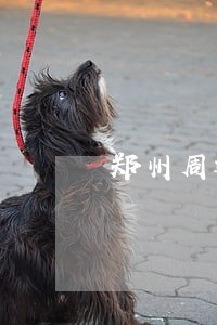 郑州周边财产保全律师 郑州周边财产保全律师