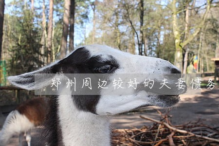 郑州周边较好的夫妻债务纠纷律师 郑州周边较好的夫妻债务纠纷律师