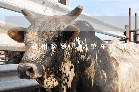郑州哈罗共享单车逾期会上征信么