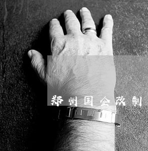 郑州国企改制法律意见书 郑州国企改制法律意见书
