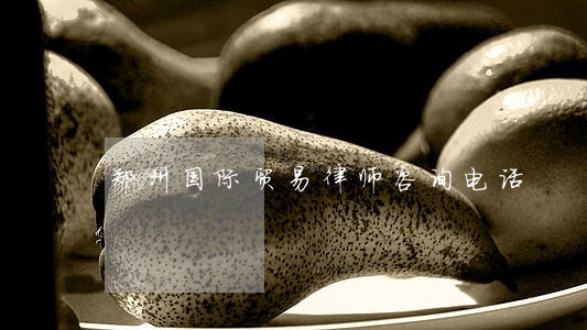 郑州国际贸易律师咨询电话 郑州国际贸易律师咨询电话