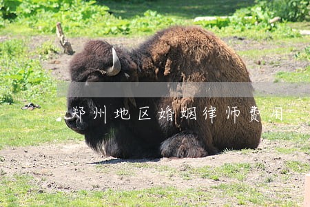 郑州地区婚姻律师费用 郑州地区婚姻律师费用