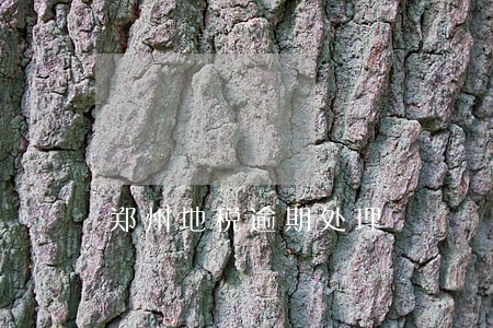 郑州地税逾期处理