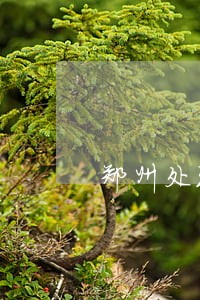 郑州处理车贷逾期 郑州处理车贷逾期