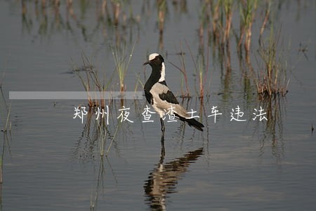 郑州夜查渣土车违法 郑州夜查渣土车违法